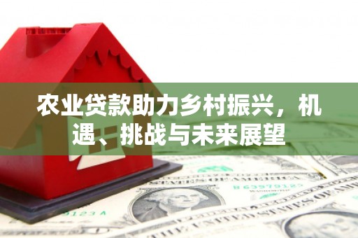 南宫农业贷款助力乡村振兴，机遇、挑战与未来展望