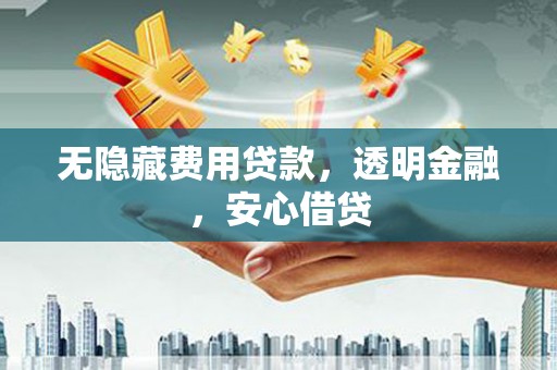 南宫无隐藏费用贷款，透明金融，安心借贷