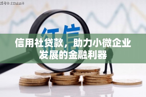 南宫信用社贷款，助力小微企业发展的金融利器