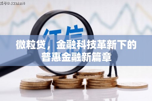 南宫微粒贷，金融科技革新下的普惠金融新篇章