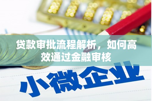南宫贷款审批流程解析，如何高效通过金融审核