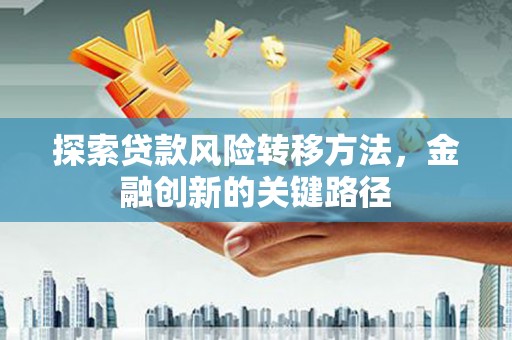 南宫探索贷款风险转移方法，金融创新的关键路径