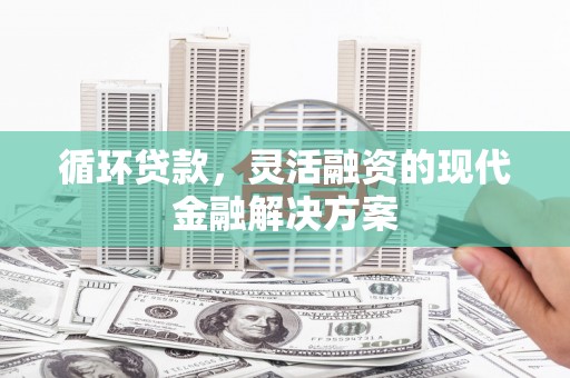南宫循环贷款，灵活融资的现代金融解决方案