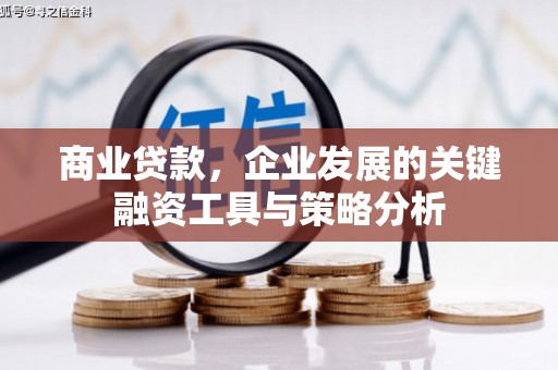南宫商业贷款，企业发展的关键融资工具与策略分析