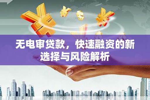 南宫无电审贷款，快速融资的新选择与风险解析