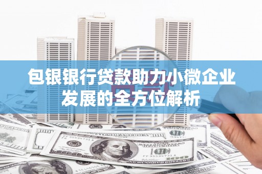 南宫包银银行贷款助力小微企业发展的全方位解析