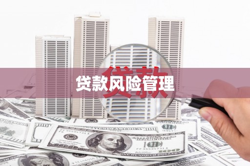 南宫贷款风险管理
