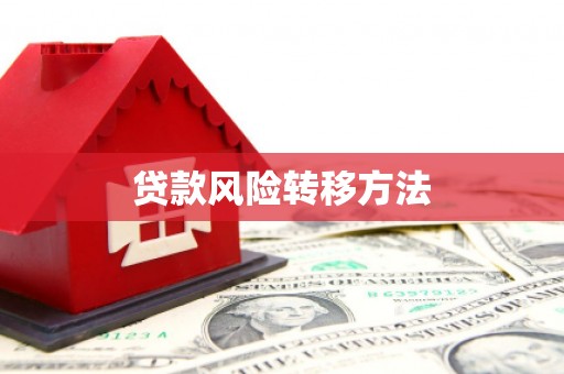 南宫贷款风险转移方法
