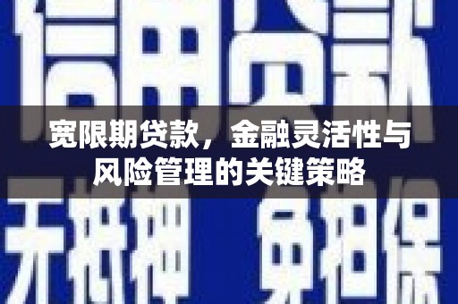 南宫宽限期贷款，金融灵活性与风险管理的关键策略