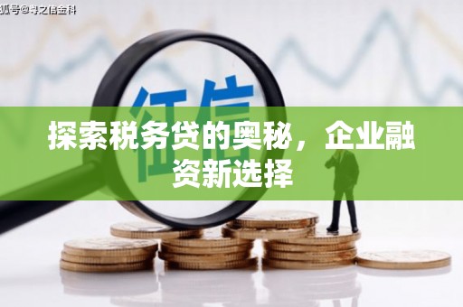 南宫探索税务贷的奥秘，企业融资新选择