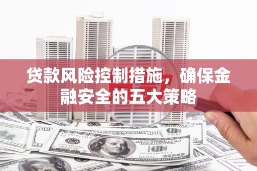 南宫贷款风险控制措施，确保金融安全的五大策略