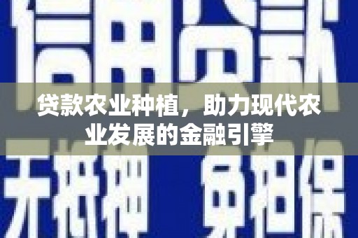 南宫贷款农业种植，助力现代农业发展的金融引擎