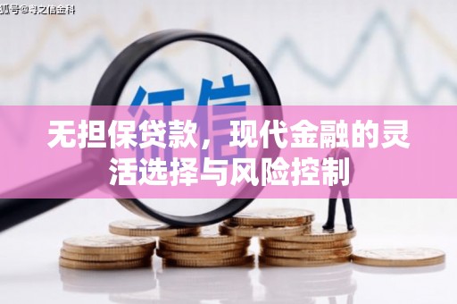 南宫无担保贷款，现代金融的灵活选择与风险控制