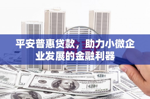 南宫平安普惠贷款，助力小微企业发展的金融利器