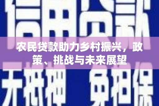 南宫农民贷款助力乡村振兴，政策、挑战与未来展望