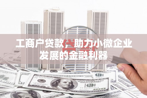 南宫工商户贷款，助力小微企业发展的金融利器