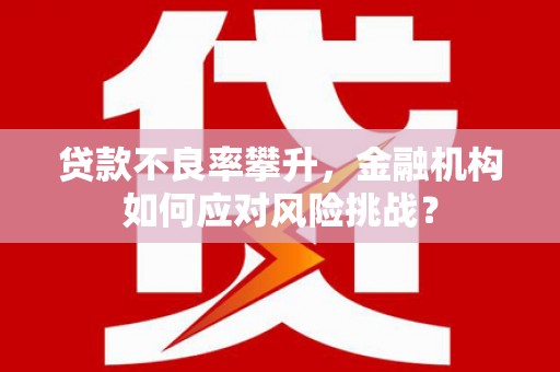 南宫贷款不良率攀升，金融机构如何应对风险挑战？