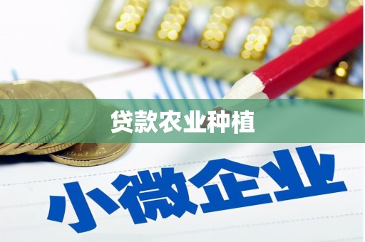 南宫贷款农业种植