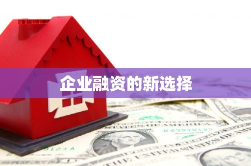 南宫企业融资的新选择