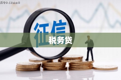 南宫税务贷