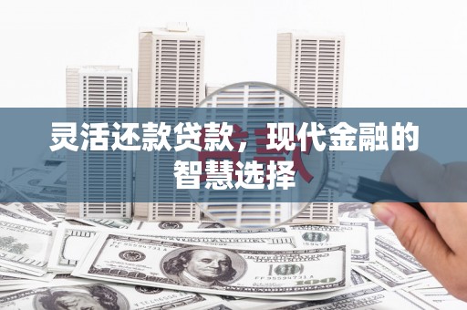 南宫灵活还款贷款，现代金融的智慧选择