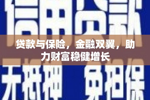 南宫贷款与保险，金融双翼，助力财富稳健增长