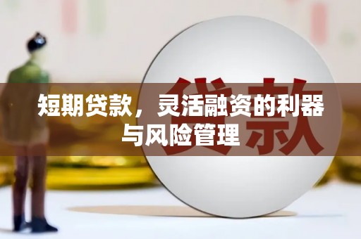 南宫短期贷款，灵活融资的利器与风险管理