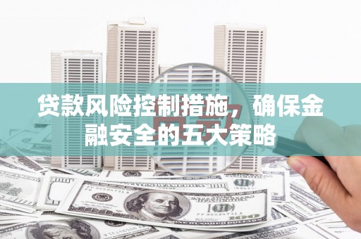 南宫贷款风险控制措施，确保金融安全的五大策略