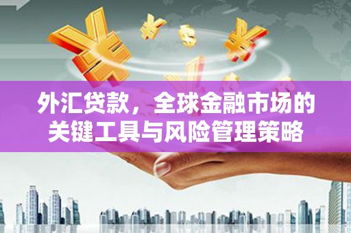 南宫外汇贷款，全球金融市场的关键工具与风险管理策略
