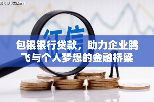 南宫包银银行贷款，助力企业腾飞与个人梦想的金融桥梁