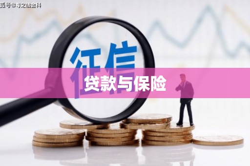 南宫贷款与保险