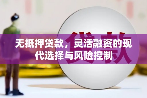 南宫无抵押贷款，灵活融资的现代选择与风险控制