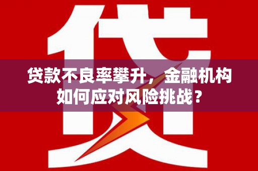 南宫贷款不良率攀升，金融机构如何应对风险挑战？
