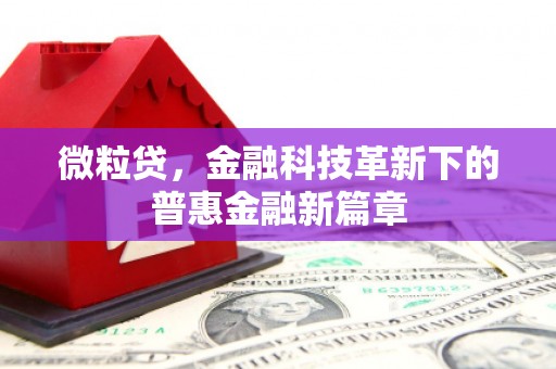 南宫微粒贷，金融科技革新下的普惠金融新篇章