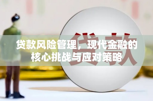 南宫贷款风险管理，现代金融的核心挑战与应对策略