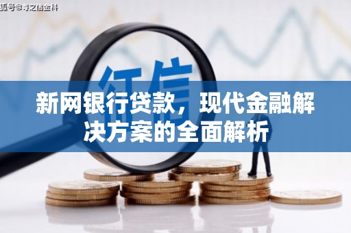 南宫新网银行贷款，现代金融解决方案的全面解析