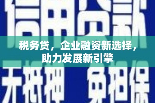 南宫税务贷，企业融资新选择，助力发展新引擎