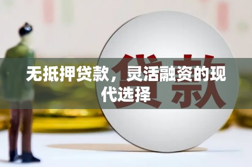 南宫无抵押贷款，灵活融资的现代选择