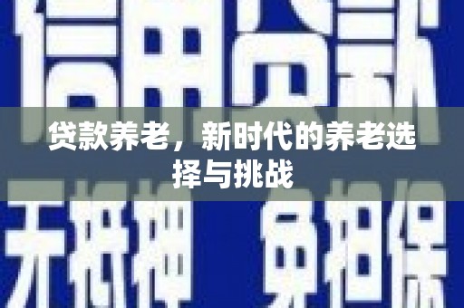 南宫贷款养老，新时代的养老选择与挑战
