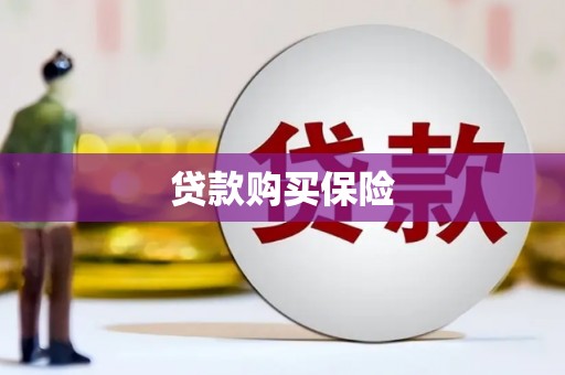 南宫贷款购买保险