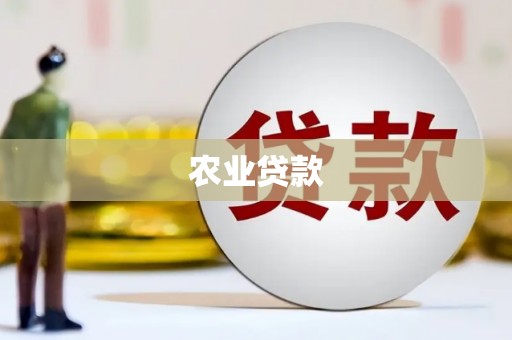南宫农业贷款