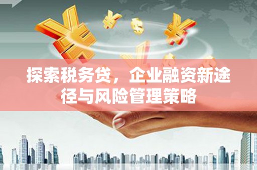 南宫探索税务贷，企业融资新途径与风险管理策略