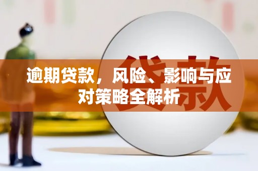南宫逾期贷款，风险、影响与应对策略全解析