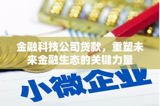 南宫金融科技公司贷款，重塑未来金融生态的关键力量