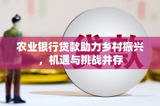 南宫农业银行贷款助力乡村振兴，机遇与挑战并存