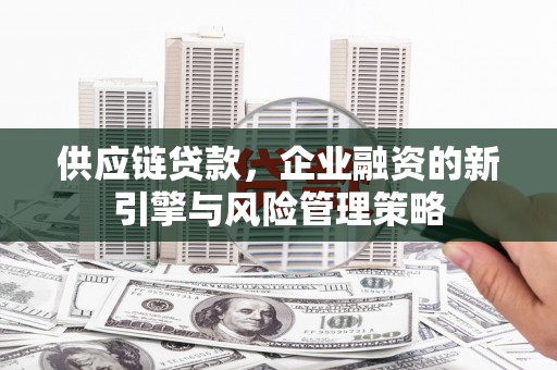 南宫供应链贷款，企业融资的新引擎与风险管理策略