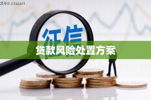 南宫贷款风险处置方案