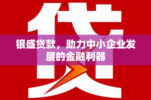 南宫银盛贷款，助力中小企业发展的金融利器