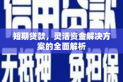 南宫短期贷款，灵活资金解决方案的全面解析