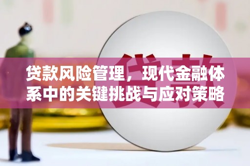 南宫贷款风险管理，现代金融体系中的关键挑战与应对策略